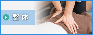 整体
